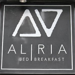 Aliria Bed And Breakfast Bohol Exterior photo
