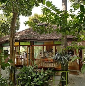 Ambong Rainforest Retreat Langkawi Exterior photo