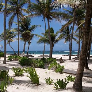 Hibiscus Beach Resort Saint Croix Island Exterior photo