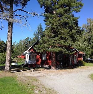 Sunny Hill Cottage Bergvik Exterior photo