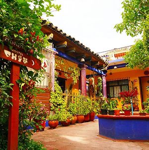 Qhia Hostel San Cristobal de las Casas Exterior photo