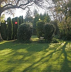 Walnut Grove Lodge Christchurch Exterior photo