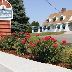 Blue Spruce Motel & Townhouses Plymouth Exterior photo