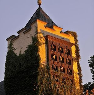 Breuer'S Rudesheimer Schloss Hotel Ruedesheim am Rhein Exterior photo