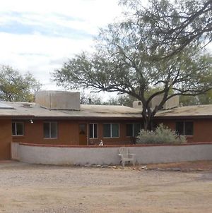 Freedom On The Go Ranch Bed & Breakfast Tubac Exterior photo