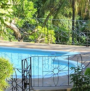 Villa Dianna - Entire Villa, Roof Terrace Private Pool, Lovely Garden, Sea Views Near To Town Ocho Rios Exterior photo
