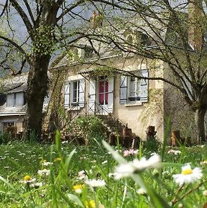 La Familiale Vigneronne Bed & Breakfast Chouzy-sur-Cisse Exterior photo