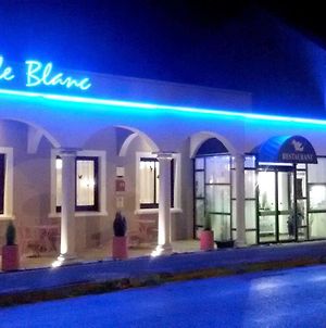 Le Merle Blanc Hotel Logis Digoin Exterior photo