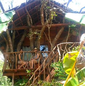 Habarana Tree House Ambasewana Resort Exterior photo