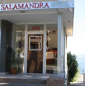Salamandra Apartamentos El Calafate Exterior photo