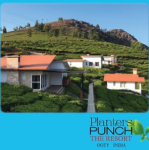 Planters Punch Villa Ooty Exterior photo