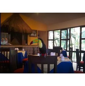 Comfort Inn Palenque Exterior photo