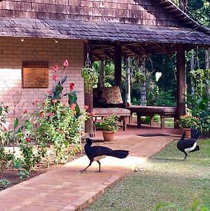 Atta Rainforest Lodge Surumatra Exterior photo
