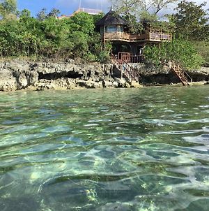 Sun & Sea Home Stay Camotes Islands Exterior photo