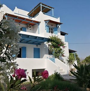 Villa Kelly Apartments Naxos City Exterior photo