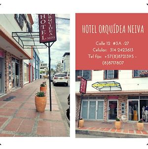 Hotel Orquidea Neiva Neiva  Exterior photo