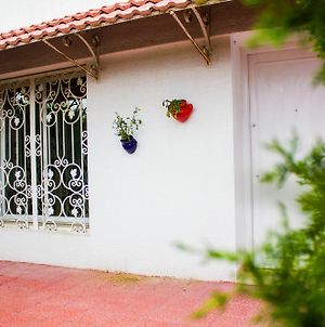 Studio De Charme Villa Sidi Bou Said Exterior photo