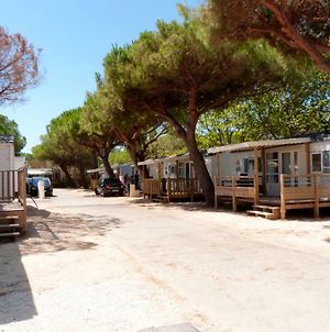 Camping La Bergerie Plage Hyeres Exterior photo