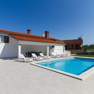 Lovely Villa Piljan With A Private Swimming Pool Bokordici Exterior photo