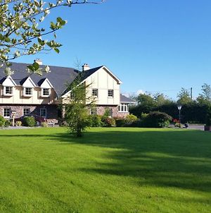 Cloghan Lodge Castleisland Exterior photo