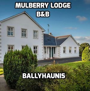 Mulberry Lodge Guest House Ballyhaunis Exterior photo