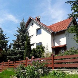 Dom Na Wzgorzu Villa Polanica-Zdroj Exterior photo