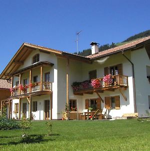 Stifterhof Villa Villabassa Exterior photo
