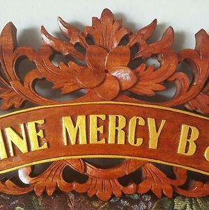 Divine Mercy B&B Knock  Exterior photo