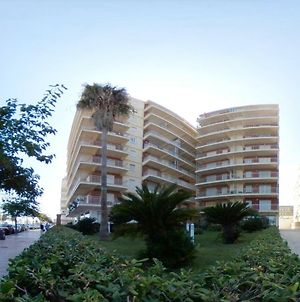 Preciosos Apartamentos Caracola En La Primera Linea De La Playa De Gandia Exterior photo