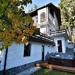 Spa Villa Galileev Velingrad Exterior photo