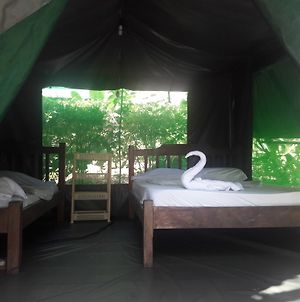 Corcovado Adventures Tent Camp Hotel Drake Bay Exterior photo
