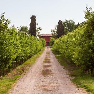 La Centuria Societa Agricola Casa Vacanze Villa Terzo d' Aquileia Exterior photo