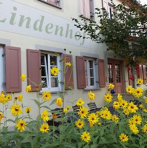 Hotel Garni Lindenhof Im Steigerwald Oberaurach Exterior photo