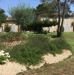 Les Amarines Villa Saint-Remy-de-Provence Exterior photo