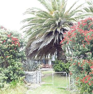 Twin Palms Villa Waikanae Exterior photo