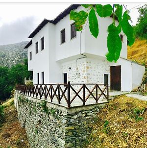 Traditional House Makrinitsa Villa Exterior photo
