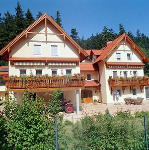 Haus Lenz Ferienwohnungen - Fam Ostermann Puchberg am Schneeberg Exterior photo