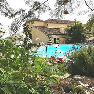 Grosse Finca 19Jh, Pool, Terrasse, Nahe Santa Cruz Villa Santa Cruz de la Palma  Exterior photo