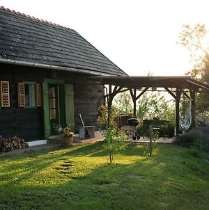 Weingarten Lodge Winten  Exterior photo