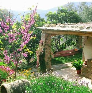 Mountain House Surrounded By Nature Villa Bayacas Exterior photo