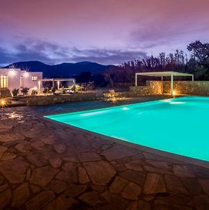 Kallirroe Master Villa With Sea View And Pool Chrisi Akti  Exterior photo
