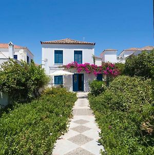 The Palm Tree House!! Villa Spetses Island Exterior photo