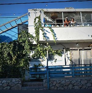 Juha'S Guesthouse - Zarqa Bay Jisr ez Zarqa Exterior photo