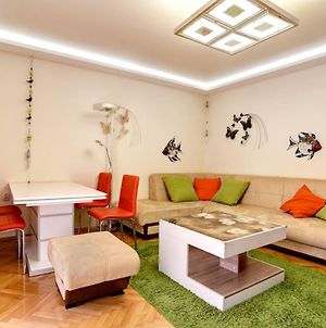 Spacious And Stylish Apartment In The Heart Of Sofia Plus Parking Exterior photo