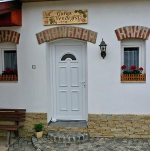 Gulya Vendeghaz Villa Zalalovo Exterior photo