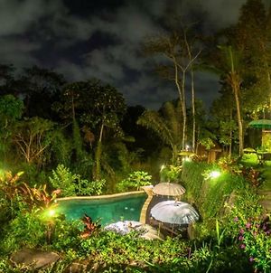 The Jungle Villa Ubud  Exterior photo