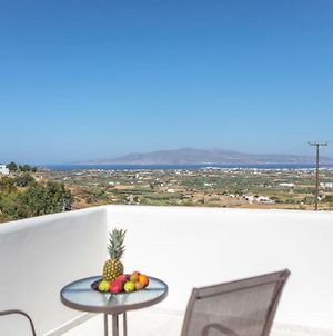 Villa Agave Naxos Island Exterior photo