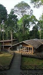 Borneo Nature Lodge Sukau Exterior photo