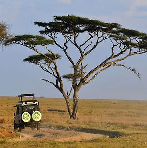 Serengeti Wild Camps Exterior photo