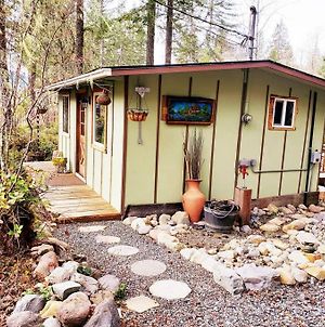 Little Green Cabin On Big Creek Min To Mt Rainier Villa Ashford Exterior photo